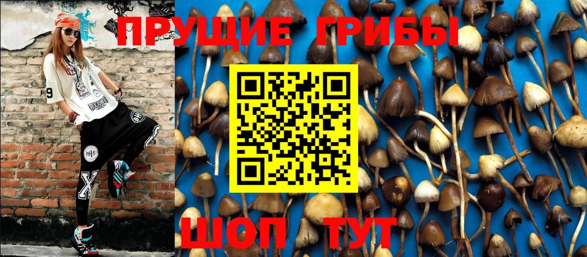 Псилоцибиновые грибы GOLDEN TEACHER Новочеркасск